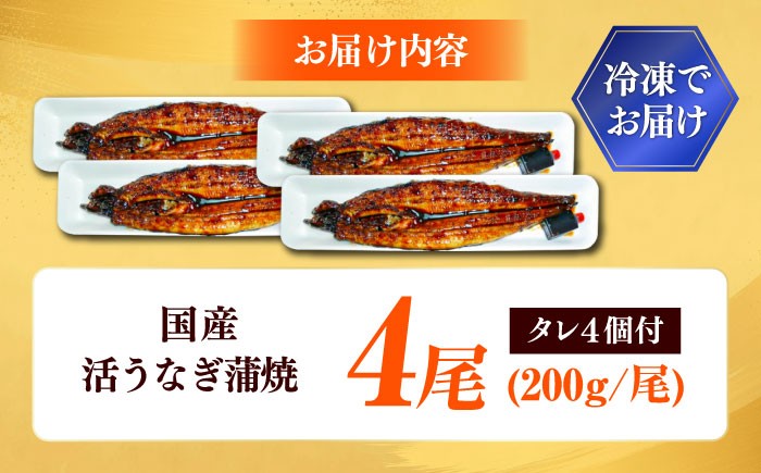 うなぎ タレ ウナギ 鰻 蒲焼 国産 美味しい 食材 お土産  おすすめ 人気 