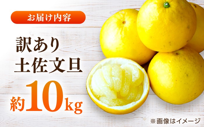 傷 シミ 訳アリ 訳あり わけあり 大容量 ぶんたん 文旦 土佐文旦 10㎏ 果物 柑橘 フルーツ デザート