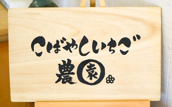 北海道品種の春夏イチゴをお届け！