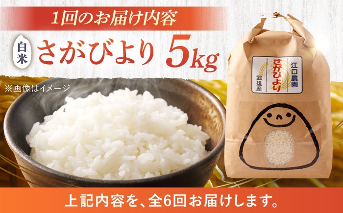 【6回定期便】特別栽培米 さがびより 白米 5kg 配送前精米/江口農園 [UBF007] 米 お米 精米 佐賀県産 特A評価