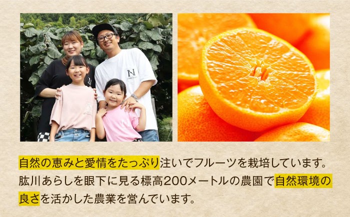 柑橘 みかん 甘平 かんぺい カンペイ オレンジ フルーツ ミカン 果物  愛媛みかん ザート おやつ ワケあり