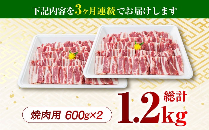 肉 豚 ぶた ブタ ロース 焼肉 焼き肉 小分け 西海市 長崎 九州 定期便