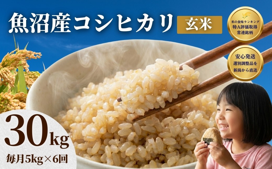 魚沼コシヒカリ　お米定期便