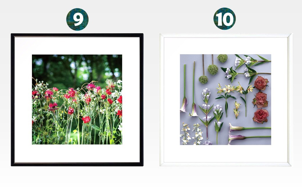 （9）Sunlit Bloom　（10）Linear Flora Array