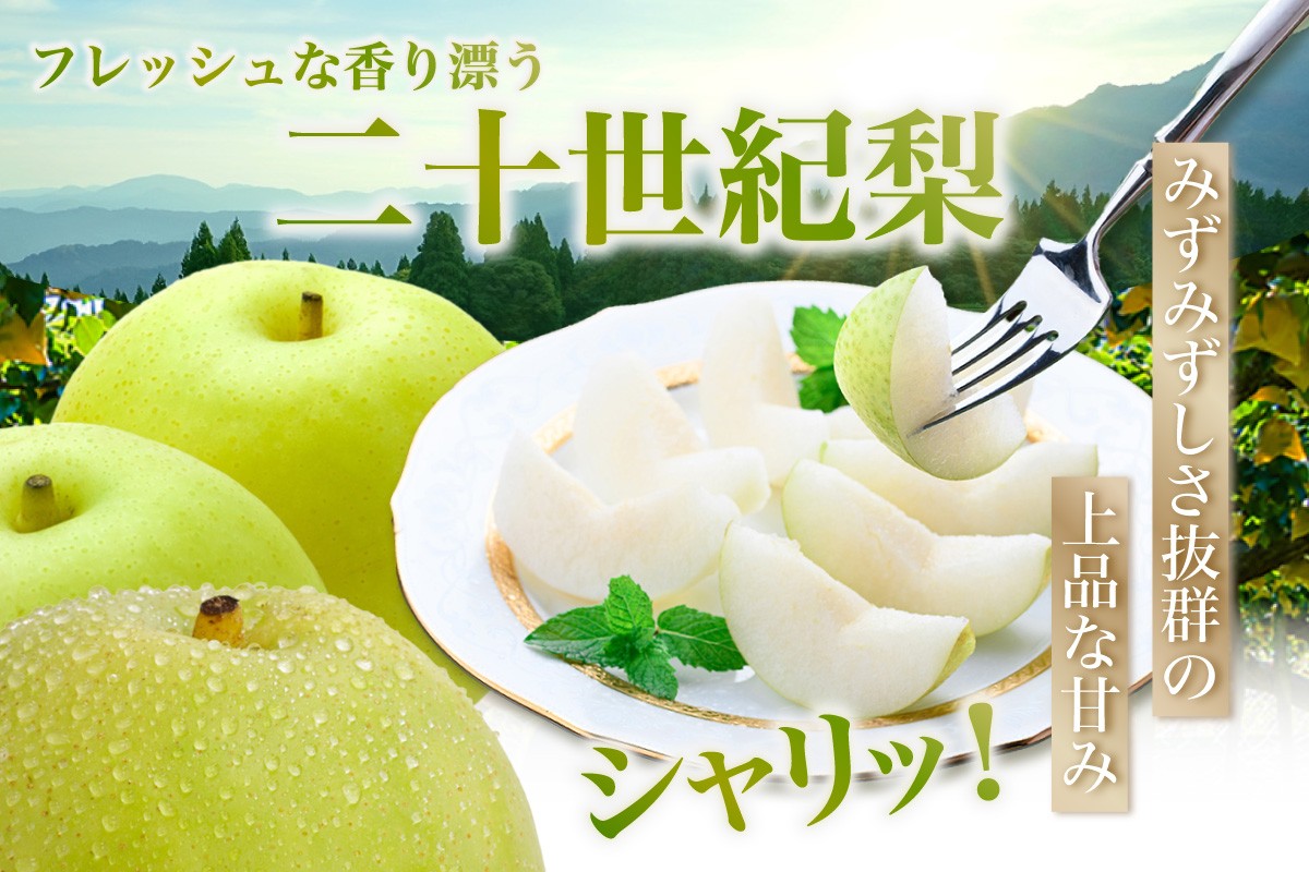 シャリッとした食感！上品な甘み！