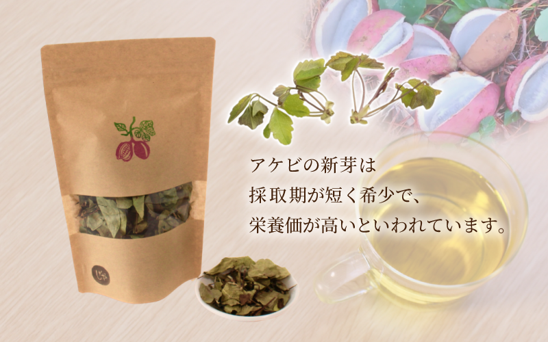アケビの新芽は採取期が短く希少で栄養価が高いといわれています。