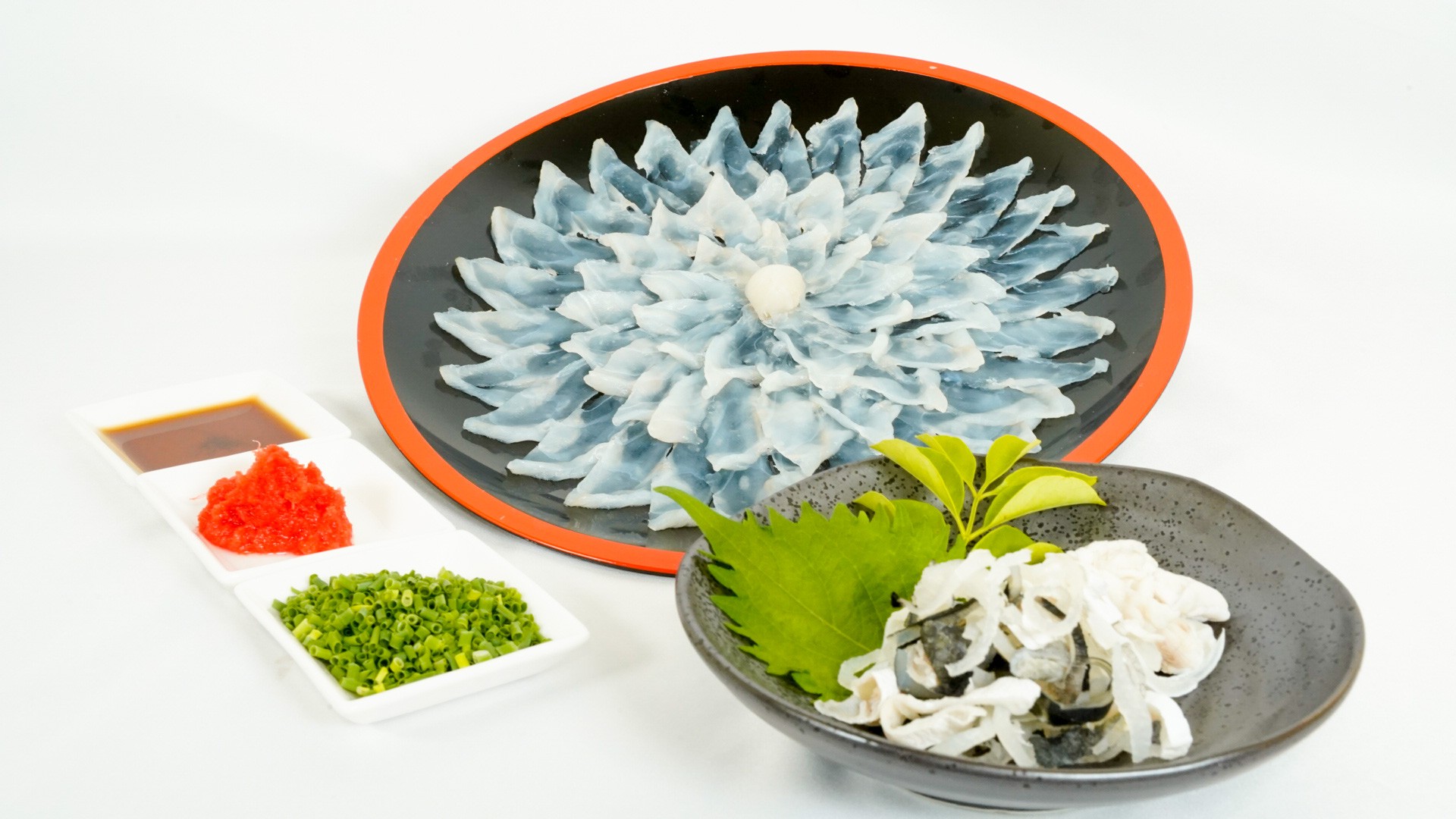 ふぐ とらふぐ刺身 ちりなし 1~2人前 ふぐ フグ 河豚 ふぐ刺し フグ刺し 河豚刺し とらふぐ トラフグ 国産ふぐ 国産フグ