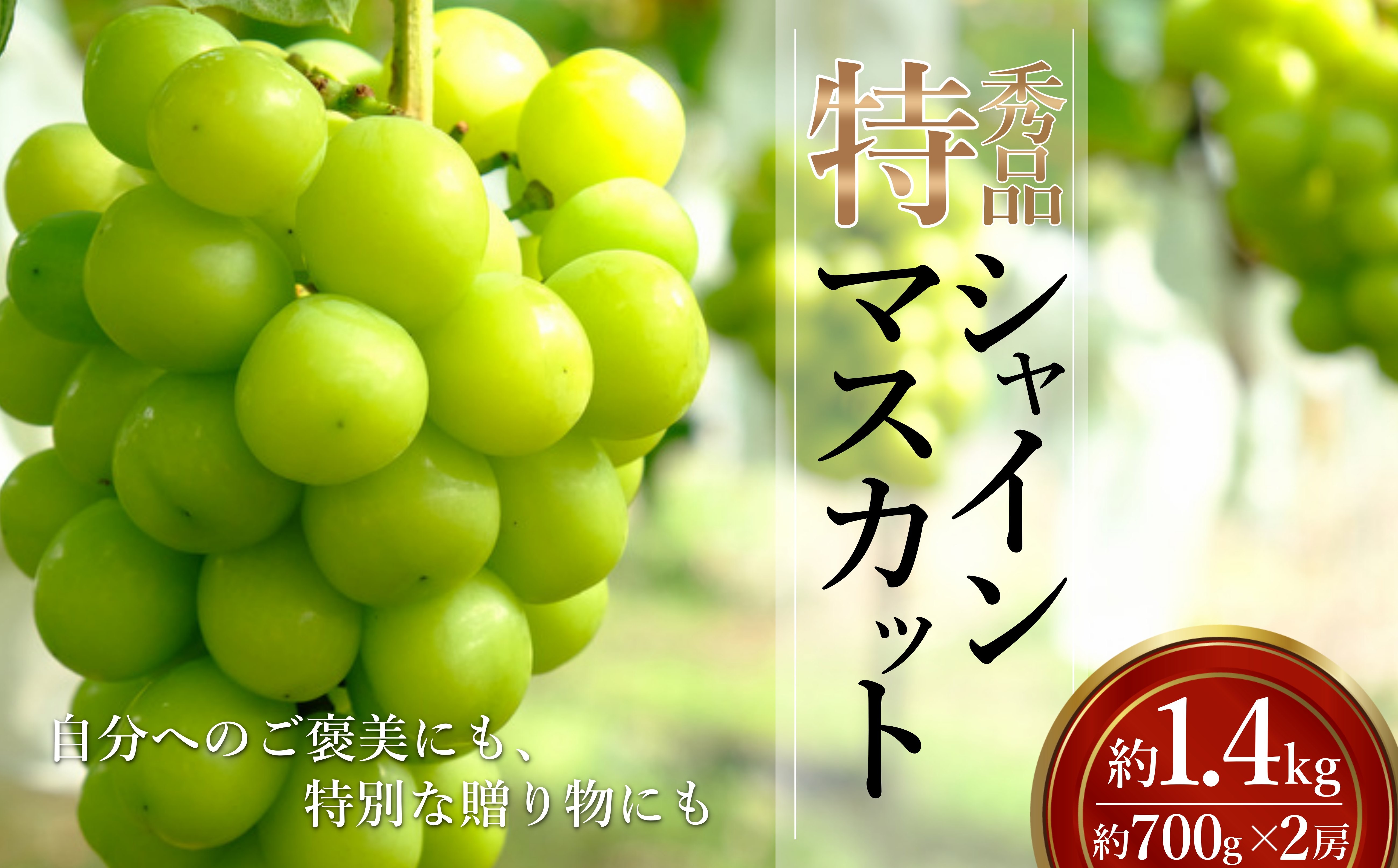 専用化粧箱入り