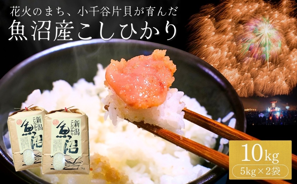 安心・安全な魚沼産のお米にこだわり、みなさんにお届けします
