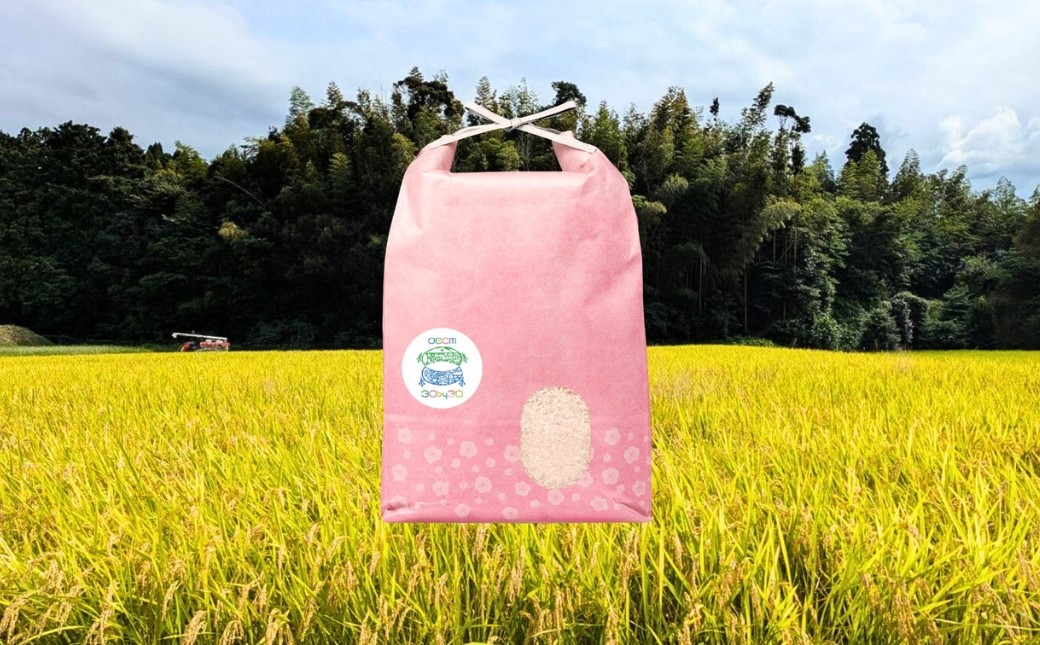 自然共生サイト ブレンド米　(夢しずく、ヒノヒカリのブレンド) 5 kg