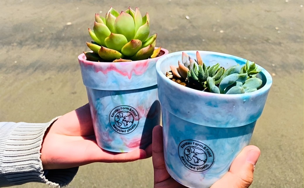 多肉植物や観葉植物をゆったり植えられる大サイズ。
日常の中で“育てる循環”を感じられます。