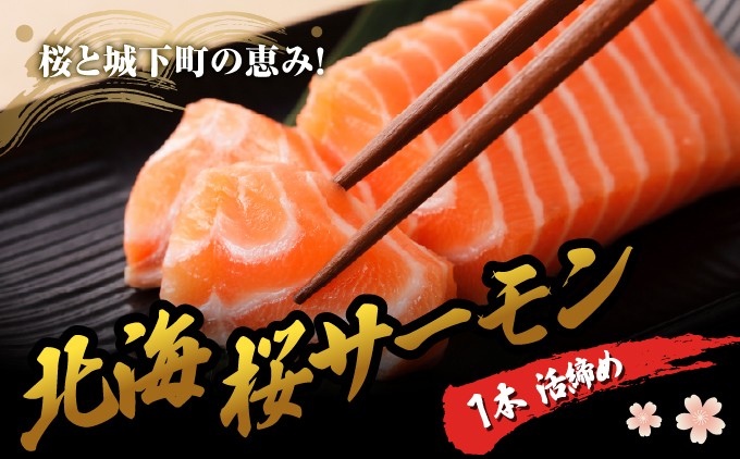 北海桜サーモン 1本活締め 2~3kg 新鮮 刺身 陸上養殖 生食可 桜色 北海道産 産地直送 北海道 松前町  ふるさと納税