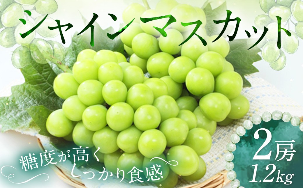 シャインマスカット 2房 計1.2kg