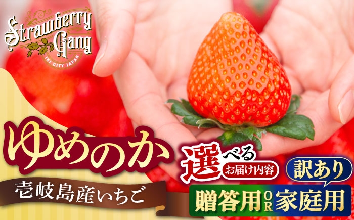  まとめ買い 人気 ギフト 食材 いちご イチゴ 苺  食べ比べ 果物 フルーツ