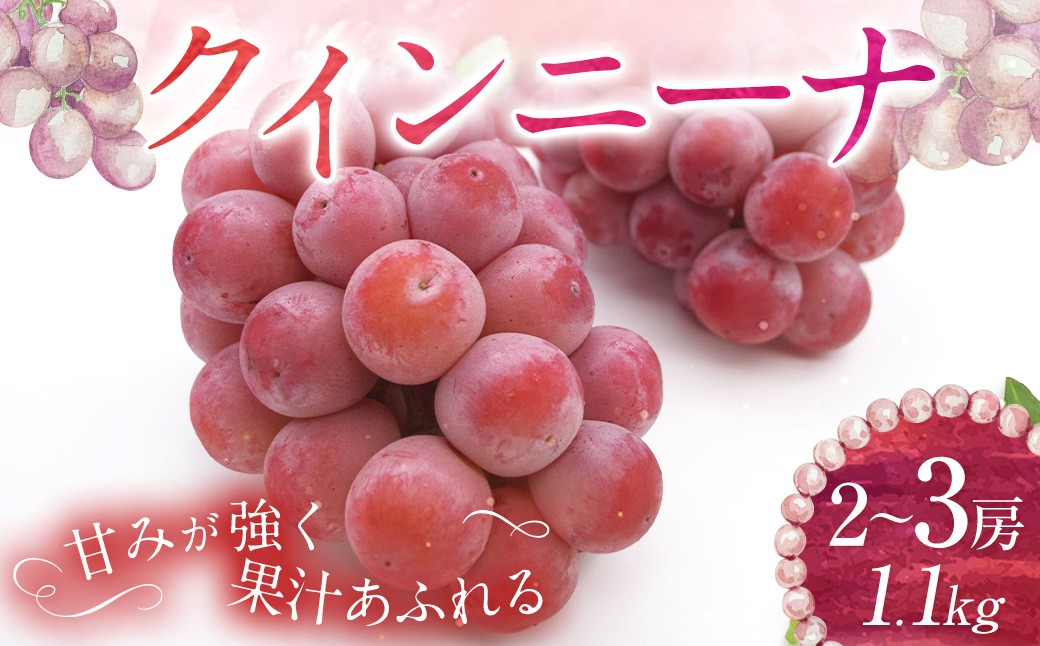 クイーンニーナ 2～3房 計約1.1kg