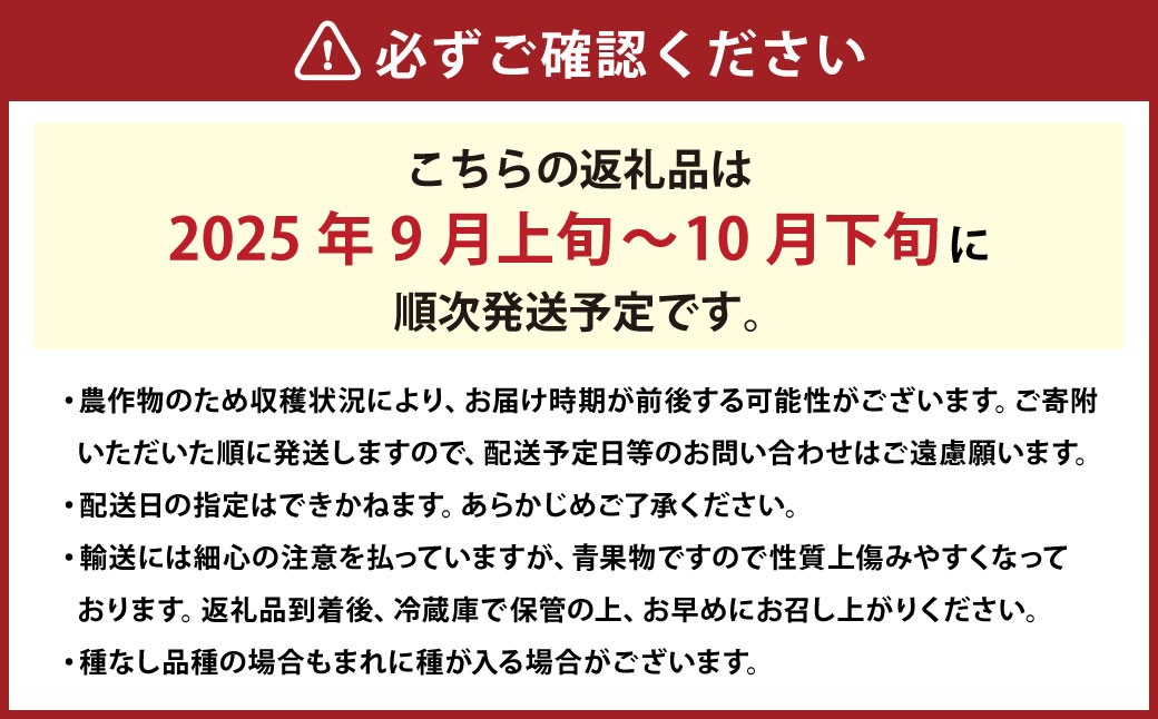 クイーンニーナ 2～3房 計約1.1kg