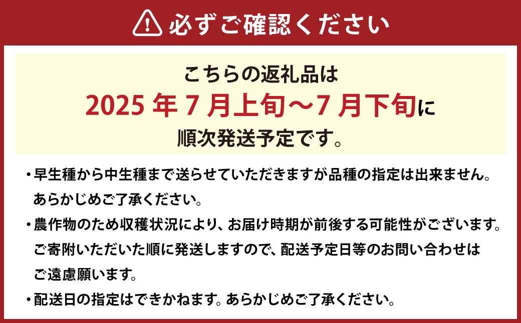 岡山白桃 ロイヤル 3玉 約800g 