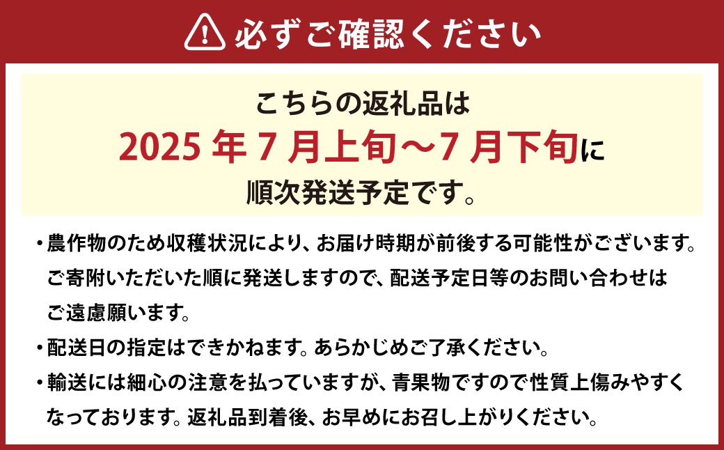 清水白桃 エース 3玉 約750g 