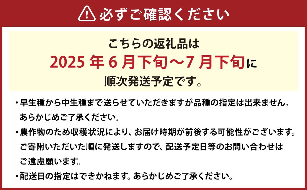 ご家庭用 岡山白桃 4~5玉 計約1.2kg 