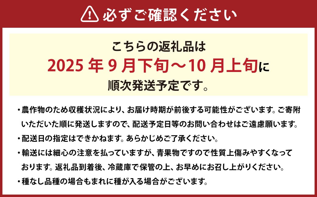 シャインマスカット 1房 約700g