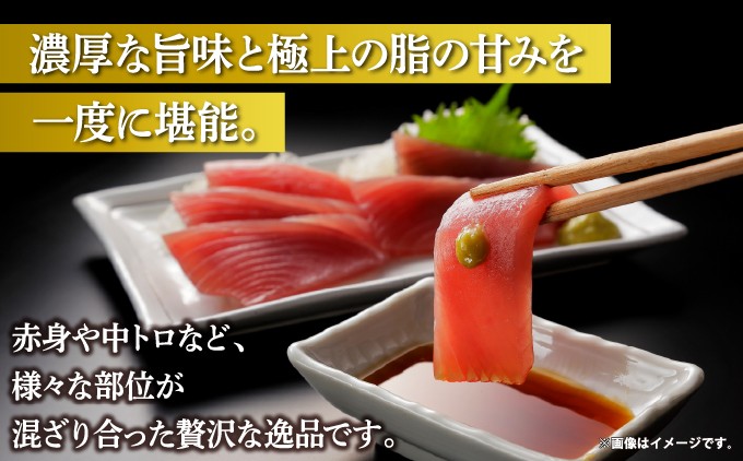 本マグロ切り落し 240g～400g 1個80g 小分け 冷凍 津軽海峡産 本まぐろ 新鮮 刺身 北海道 松前町 ふるさと納税