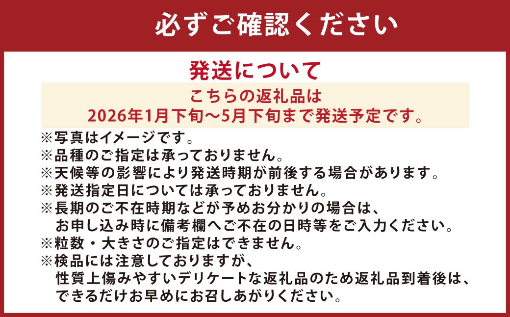 【2026年1月下旬発送開始】まるでおやつのようなスナックパプリカ1kg（熊本県産）