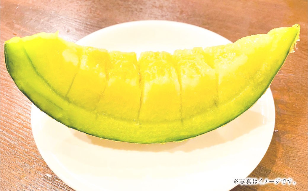 【2026年5月上旬発送開始】まるで果物の王様！アールスメロン1玉（熊本県産）