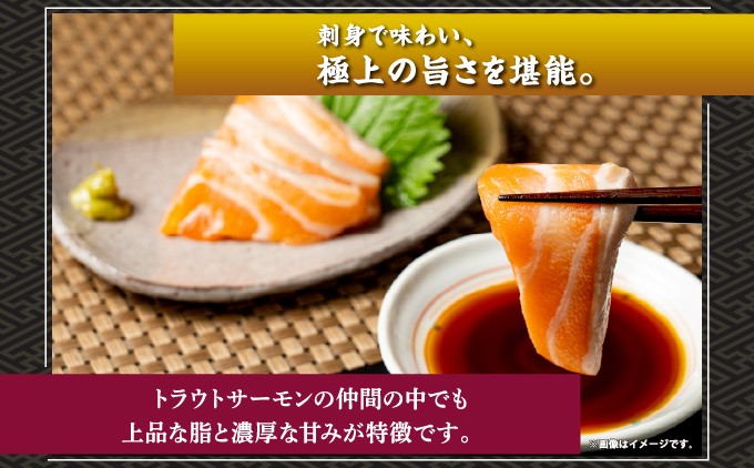 北海桜サーモン 半身 2~2.5kg 新鮮 刺身 陸上養殖 生食可 桜色 松前産 産地直送 北海道 松前町  ふるさと納税