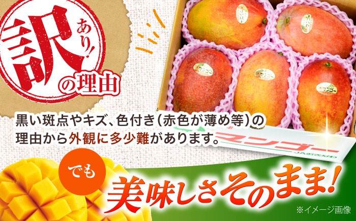 【 2026年発送 先行予約 】訳あり 完熟マンゴー 約2kg (4〜6玉入) マンゴー 2026 訳あり 沖縄 マンゴー 