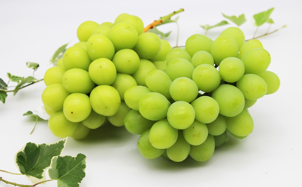 【ご家庭用】 シャインマスカット 2～3房 計約1.3kg 