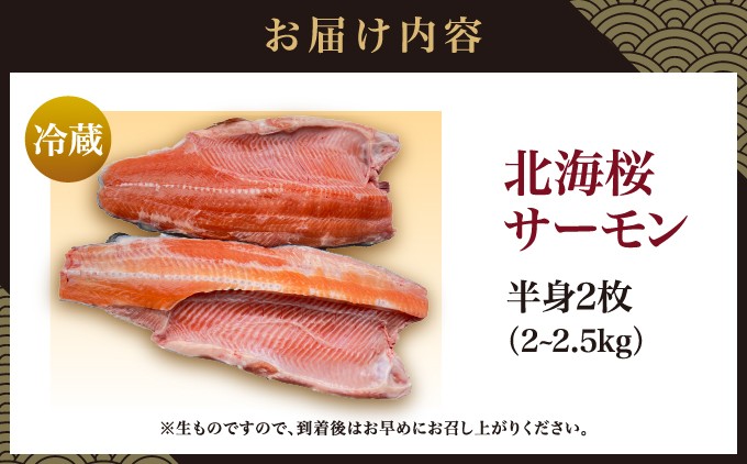 北海桜サーモン 半身 2~2.5kg 新鮮 刺身 陸上養殖 生食可 桜色 松前産 産地直送 北海道 松前町  ふるさと納税