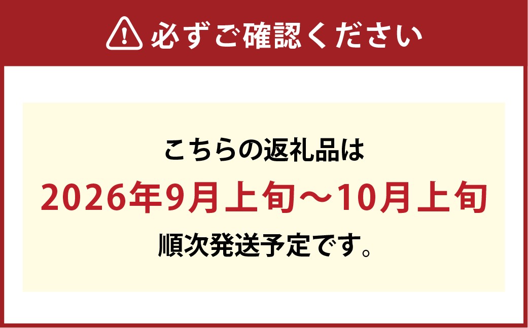 【訳あり】家庭用シャインマスカット摘み落とし 1.5kg以上