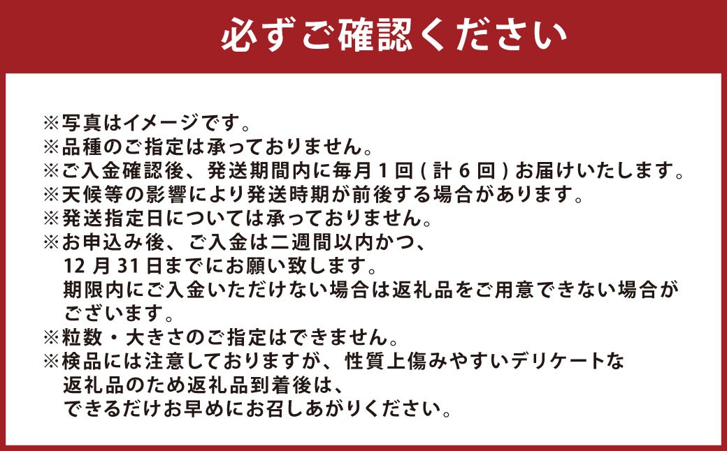 【2026年1月下旬発送開始】【年6回定期便】火の国くまもとの魅力たっぷり！Vegettimo厳選、特別定期便