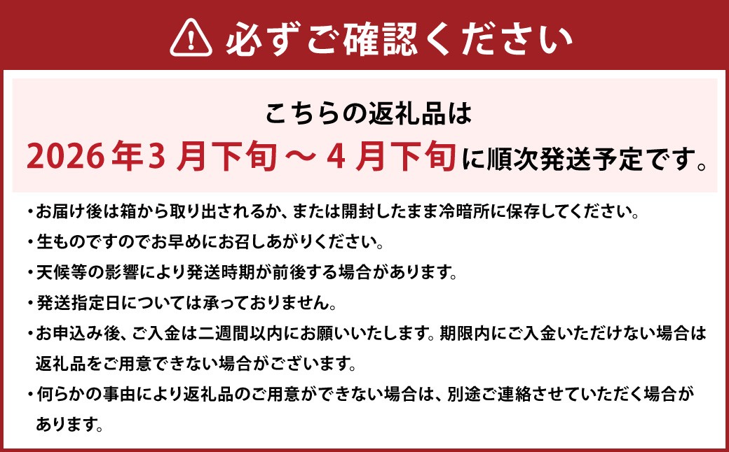 【希望の島】 愛果48号 特選品 中玉 2kg