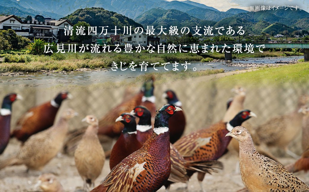 きじ鍋セット 2～3人前