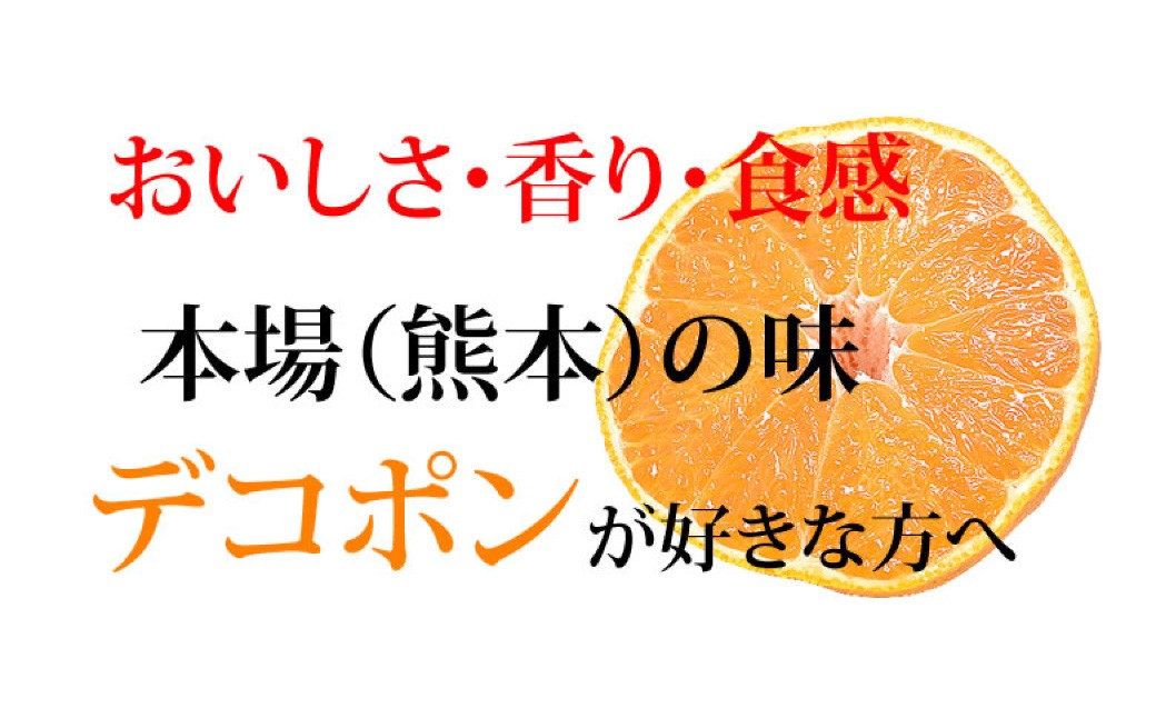 デコポン I12光センサー選果 約2kg