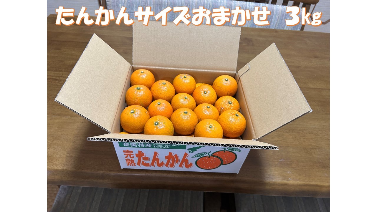 たんかん　サイズおまかせ　３㎏