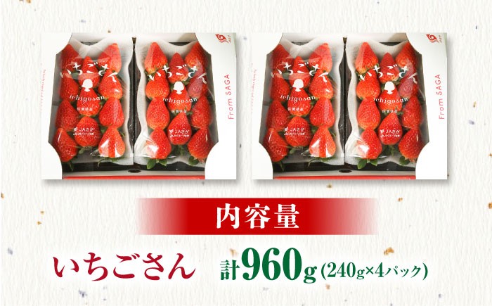 いちごさん 240g×4パック  [HAM087] いちご 苺 イチゴ 果物 くだもの ブランド 佐賀県産 国産 佐賀県 江北町