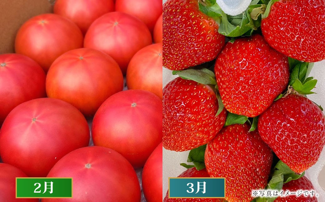 【2026年1月下旬発送開始】【年6回定期便】火の国くまもとの魅力たっぷり！Vegettimo厳選、特別定期便