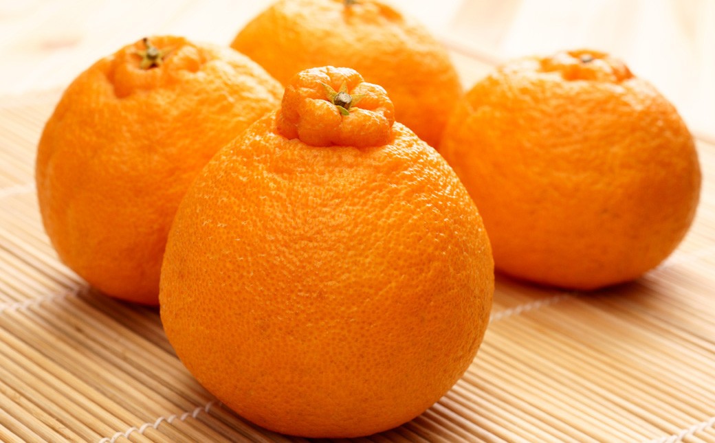 デコポン I12光センサー選果 約2kg