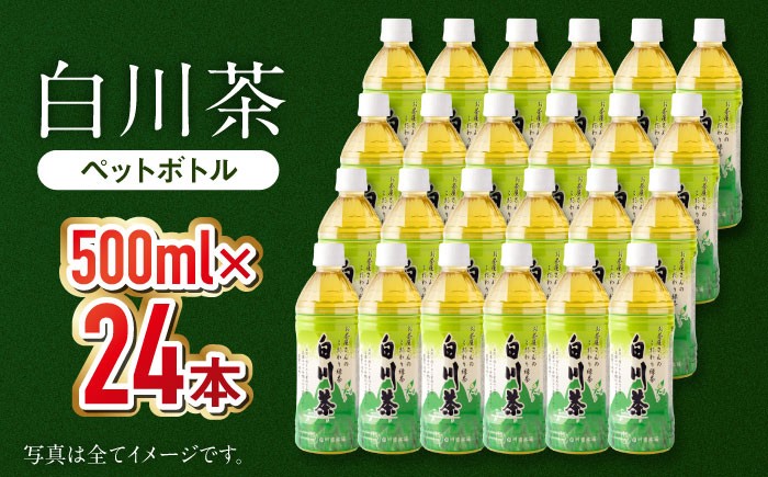高級銘茶 高級銘柄 お茶 白川茶 ペットボトル お茶ペットボトル ケース 24 緑茶 こだわり緑茶 まとめ買い 災害 備蓄 防災