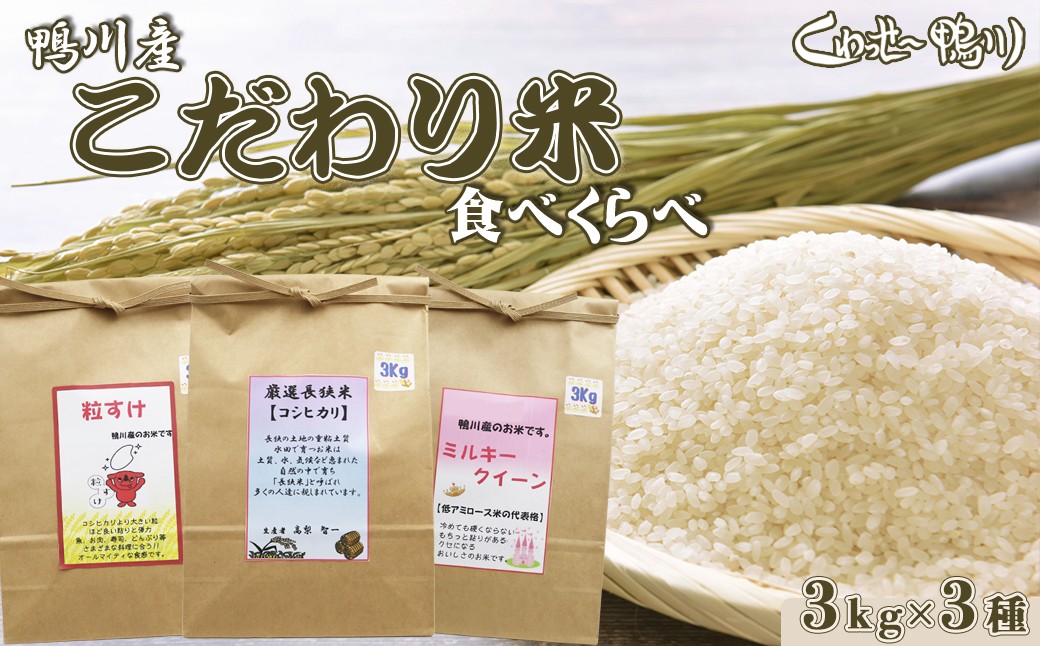 鴨川の美味しいお米を食べくらべ！土と水が育むこだわりの味をご賞味下さい！