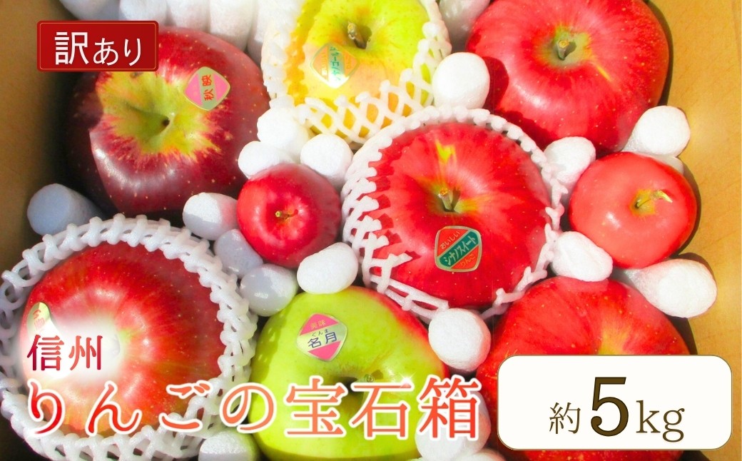 訳あり りんご 園主におまかせ 詰合せ 計約5kg（10~18玉）
