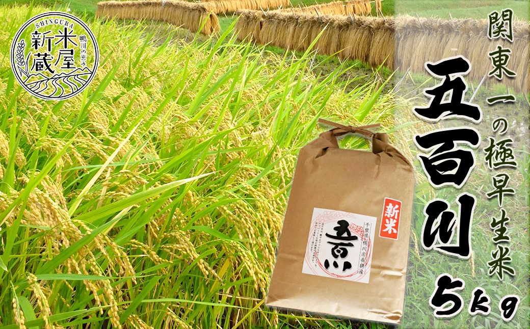 お米のソムリエ「米・食味鑑定士」が厳選！関東一の極早生米『五百川』