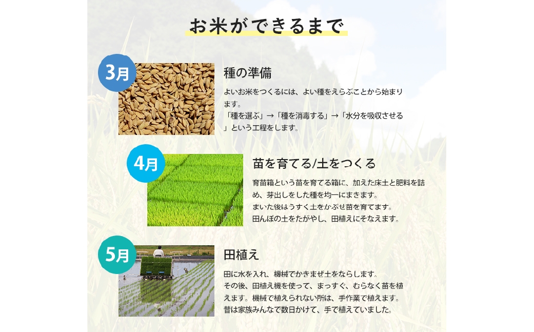 にこまる 5kg×2袋 計10kg