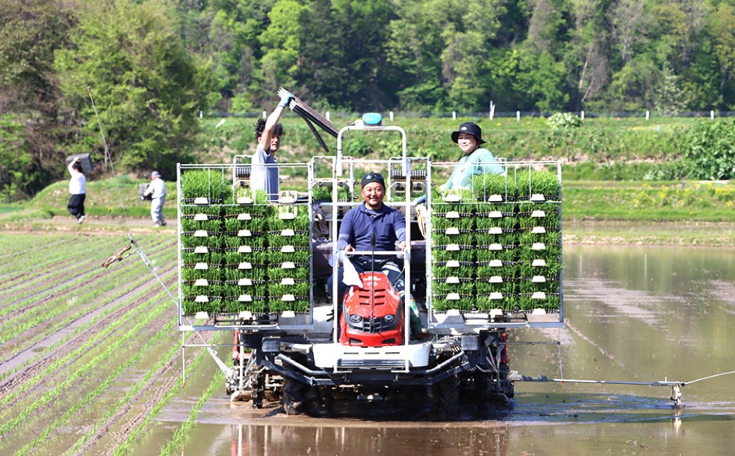 令和7年度産 ななつぼし 10kg
