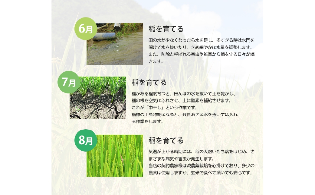 あけぼの 5kg×4袋 計20kg