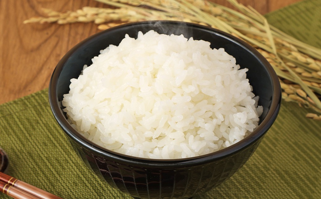 【6ヶ月定期便】 無洗米 食味鑑定士厳選 夢つくし 15kg（5kg×3袋）×6回 計90kg