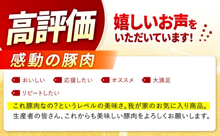 三元豚 国産豚肉 肉 ぶた肉 ブタ肉 ロースかつ とんかつ モモ 豚バラ スライス ミンチ 挽肉 ひき肉 4㎏ 大容量 冷蔵