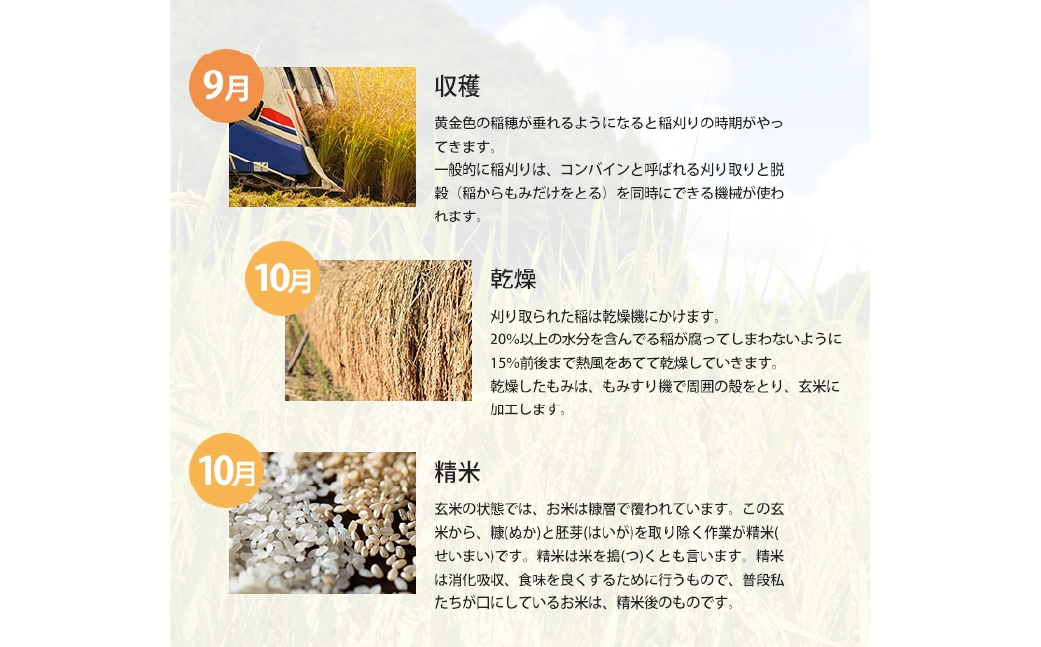 あけぼの 5kg×4袋 計20kg